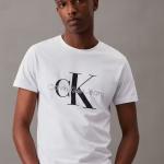 Calvin Klein Jeans Men's T-Shirts – Export Garment Factory Stock Lot